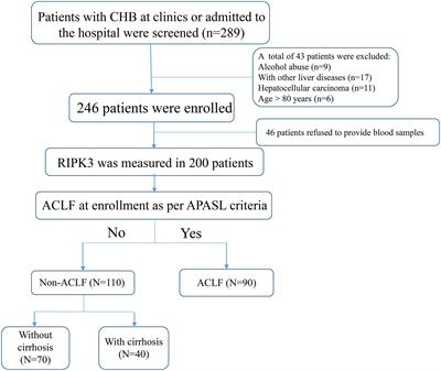 Circulating Receptor-Interacting Protein Kinase 3 Are Increased in HBV Patients With Acute-on-Chronic Liver Failure and Are Associated With Clinical Outcome